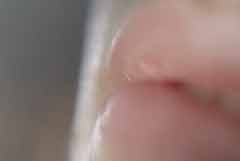 演唱會(huì)頂級(jí)視聽(tīng) 一站式視頻娛樂(lè)體驗(yàn)